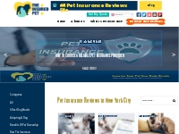 Pet Insurance Companies | Blog - The Insured Pet