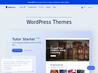 Best WordPress Themes - Themeum