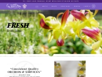   	Welcome to Toh Orchids Singapore - Orchid Grower, Exporter and supp