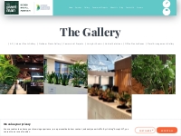 Gallery - Browse Our Incredible Work In Our Gallery | The Plant Man