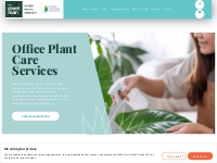 Office Plant Care Services Sydney | The Plant Man