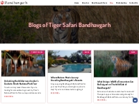 Tiger Safari Bandhavgarh Blog - Tips, Information, and News