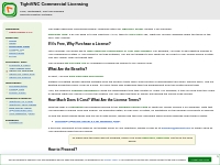 TightVNC Commercial Licensing