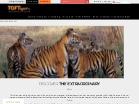 Sustainable Tourism and Wildlife Conservation in India | TOFTigers