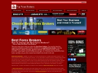 How to Choose the Best Forex Brokers in the world ? - Best Forex Broke