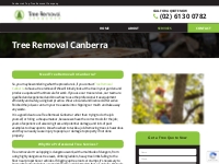 Tree Removal Service Canberra | Qualified Arborists | Tree Care Canber