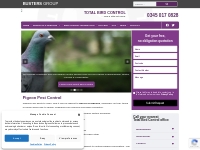 Pigeon Pest Control Services | Total Bird Control