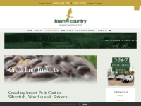 Crawling Insect Pest Control - Town   Country Pest Control