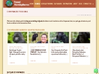 Chimpanzee Trekking in Uganda, Chimps Safari Adventure Tours