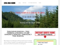 Tree Service, Tree Removal, Stump Grinding, Brantford