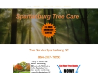 Tree Service Spartanburg, SC | Tree Removal | Stump Removal | Tree Pru