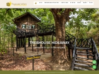 Tree House Hotel in Bandhavgarh | Resorts in Bandhavgarh