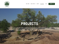 Projects - Large Tree Transplanting Jobs - Environmental Design Inc.