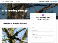 Tree Pruning Bendigo | Tree Care Service | Tree Service Experts Bendig
