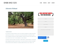 Arborist Services Hobart | Tree Removal Hobart - 0488 842 525