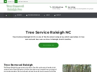 Tree Removal Raleigh | Tree Trimming | Tree Service Raleigh NC