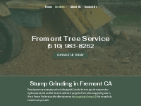       Stump Grinding | Stump Removal | Fremont, CA