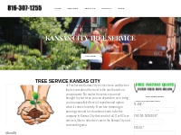 Kansas City Tree Services | Tree Trimming | Tree Removal Kansas City