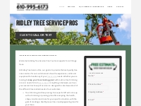 Tree Service   Removal Ridley, PA | Ridley Tree Service Pros