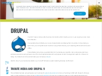 Drupal Website CMS