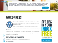Wordpress Website CRM