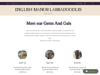 Trained Puppies | ENGLISH MANOR LABRADOODLES