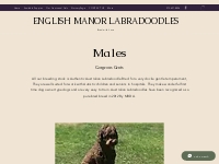 Quote | Tristate Labradoodles