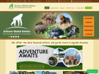 Uganda Rwanda Safaris - Rwanda Gorilla Tours, Gorilla Trekking Safaris