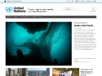 United Nations | Peace, dignity and equality on a healthy planet