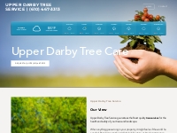 UPPER DARBY TREE SERVICE | (610) 467-3313 - Upper Darby Tree service |