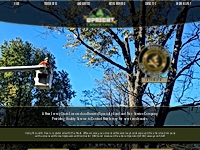 Upright Land   Tree | Tree Service and Removal | Somerset, NJ