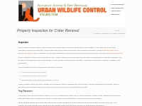 Animal Trapping Atlanta, GA | Urban Wildlife Control