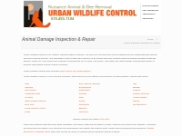 Animal Damage Control | Urban Wildlife Control