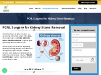 PCNL Surgery For Kidney Stone Removal | Urolife Clinic, Pune
