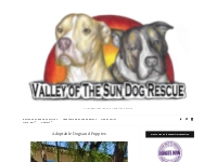 Adoptable Dogs and Puppies   Valley of the Sun Dog Rescue