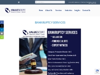 ValueScope - Business Bankruptcy - Bankruptcy Personal
