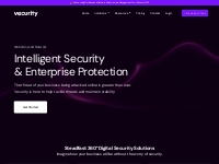 Vecurity | Enterprise Web App Security & Performance