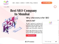 #1 SEO Company In Mumbai | Velocity Consultancy