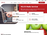 Our Digital Marketing Services | SEO and SEM | VELOX Media