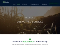       About Ventura County Tree Services | 24/7 Ready for You