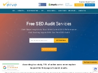 Free SEO Audit - Verve Innovation