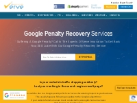 Google Penalty Recovery - Verve Innovation