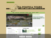 Via Pontica Tours organize a variety of birdwatching and wildlife tour