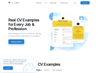 Real Professional CV Example   Sample Directory | VisualCV