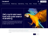 Paid Search Marketing | PPC Marketing | Visualsoft