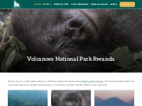 Volcanoes National Park Rwanda   Gorilla Trekking Tours
