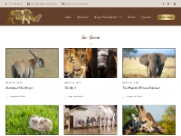 Our Blog/Latest Stories | Wanyama Kruger National Park Safaris