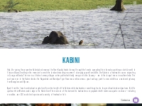 Kabini | Waterwoods
