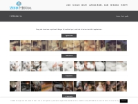Servizi fotografici per la tua azienda ad Asti e Alba | Web-Media