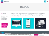 Cliente Pavidex   Webplease Web Agency